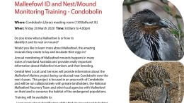 MALLEEFOWL ID AND NEST/MOUND MONITORING TRAINING – CONDOBOLIN - FRIDAY, 20 MARCH