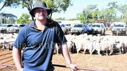 Andre Haworth (and wife Tarmia) purchased a pen of 53 White Dorper Ewe lambs for $432 a head, as well as 106 older ewes for $360 and a pen of 61 ewes for $330 a head. Image Credit: Melissa Blewitt.