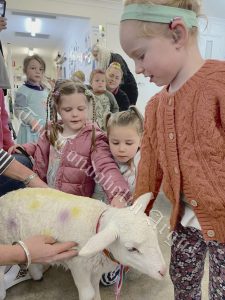 There was also a special visitor on the day – a baby lamb whose wool was coloured in honour of the day. Image Credit: Melissa Blewitt.