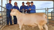 The Mosely family with the top priced ram Lot 69, 204123 who sold to joint purchasers Australis White Dorpers & Bunnerungie White Dorpers for $24000.00. Image Credit: Contributed