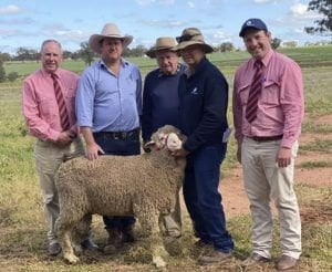  Elders Staff and Stud Principal Boyd Aveyard with the top priced Merino Ram of $4,750 (Lot 1 tag 200817) with purchases JF Simmons, Trundle NSW. 