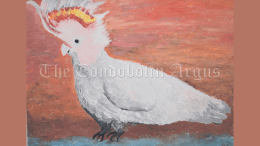 ‘Major Mitchell Cockatoo’ (Acrylic on Canvas) by Anita Johnson. Image Credit: Melissa Blewitt.