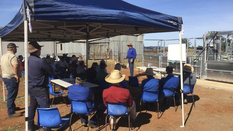 Wicus Cronje, Stud Master with Burrawang, addresses the farmers who turned up to learn about the key attributes of the Dorper Breed, and shedding sheep, at the joint Burrawang and Tullinga White Dorper Field Day on Friday 4th of March. Image contributed.