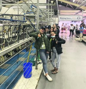 Students next to the station where dairy cows get milked.