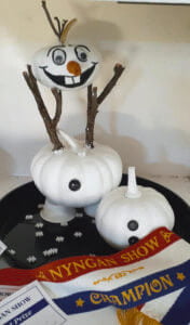Another competition in the art section was for the kids to create art from pumpkins. They were told to paint and/or decorate pumpkins to create anything they wanted. This entry (right) is the Nyngan Show Champion and first prize winner. The artist created Olaf (a snowman) from the Disney movie 'Frozen' by painting and decorating the pumpkins.