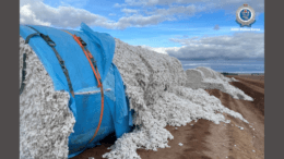 A cotton producer at Kiacatoo was targeted and over 370 large round bales of harvested cotton damaged by the wrap being cut and the cotton exposed between 10pm on Wednesday, 22 June and 7am on Thursday, 23 June 2022. Image Credits: Rural Crime Prevention Team – NSW Police Force Facebook Page.