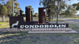 Condobolin has a total of 3,185 people, according to the 2021 Census (up from 2,864 in 2016). This comprises of 49.8 per cent males and 50.2 per cent females. The median age is 39 years (this compares to 37 years in 2016). This is just some of the data included in the 2021 Census for Condobolin. Image Credit: Melissa Blewitt.