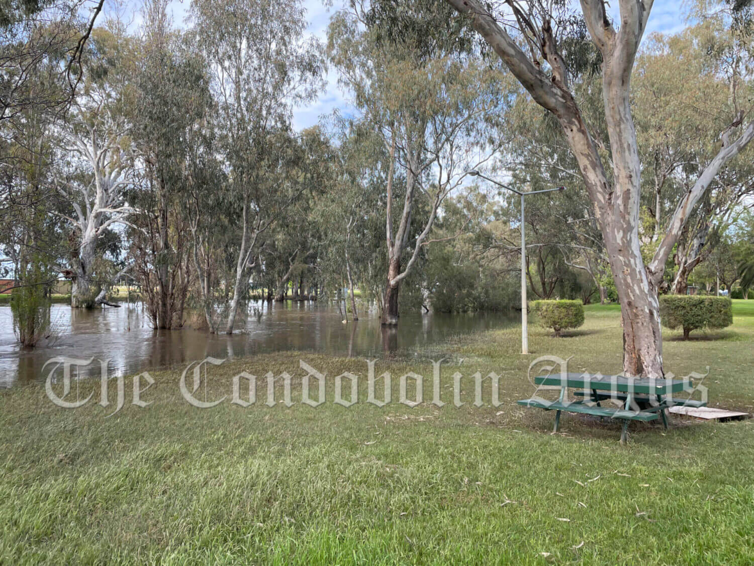 The Lachlan River at Condobolin Bridge fell below the major flood levels (6.70 metres) around 2.30pm on Wednesday 28 September and is currently falling, with moderate flooding. Image Credit: Melissa Blewitt.