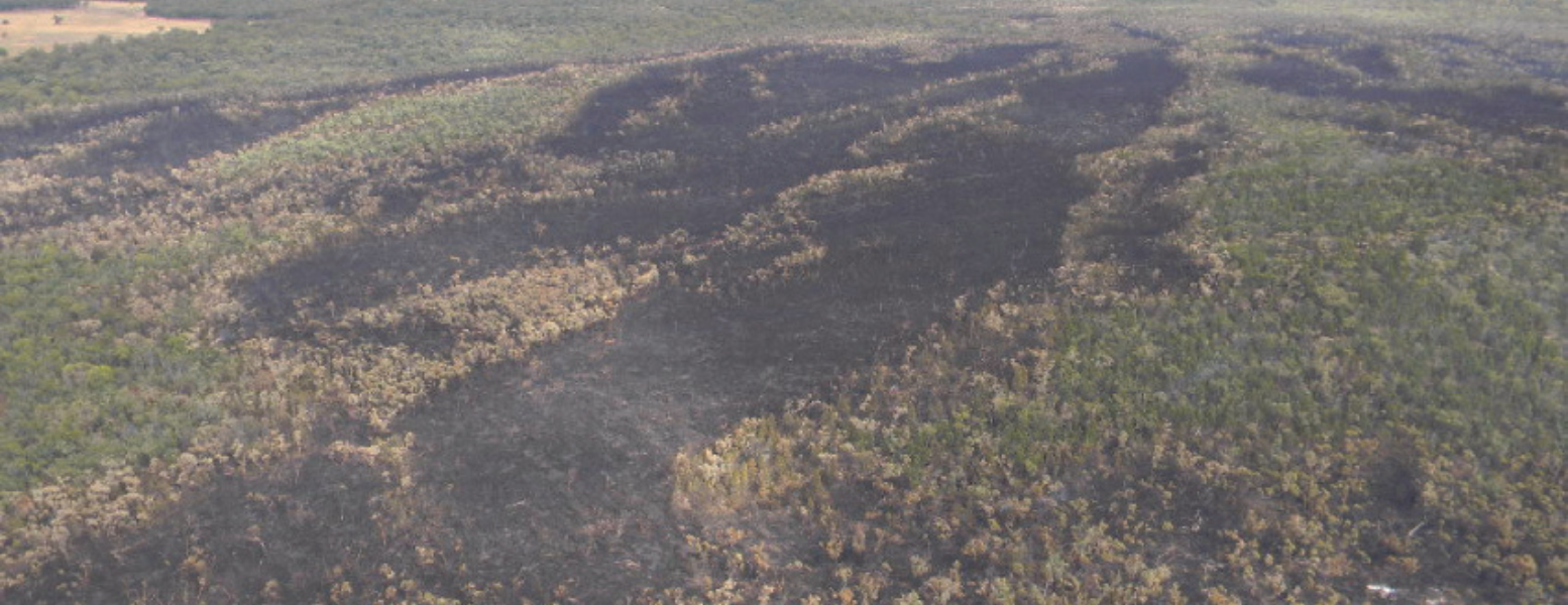 Aerial photo of the fire, north west of Fifield that spread from grasses on the property to a nearby forest. Image Contributed.